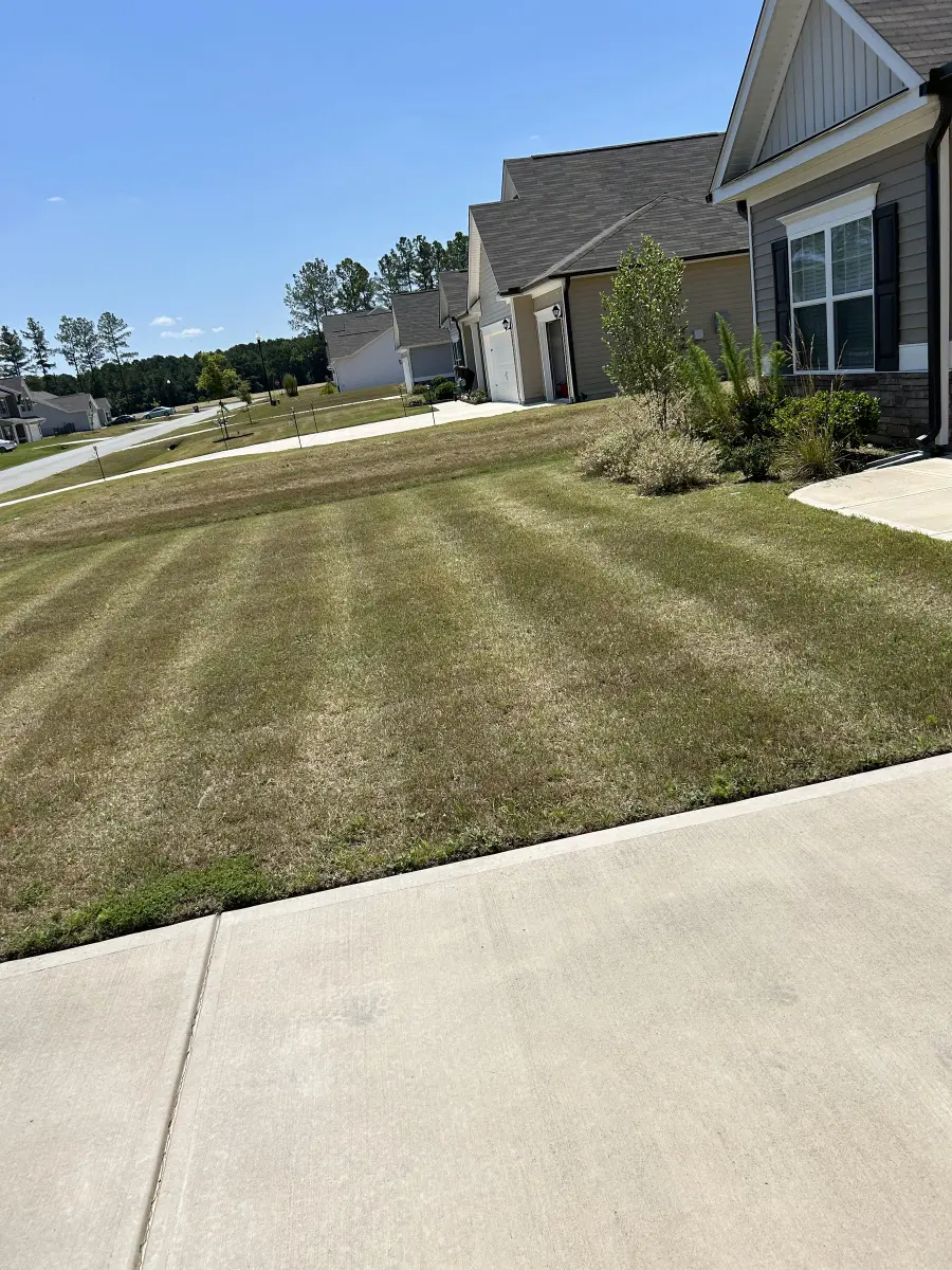 Freshly mowed front lawn with neat light and dark stripes beside a sidewalk